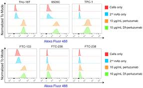 9 squared, 9 2 , is the number you get when multiplying 9 times 9. Her2 Targeted Multimodal Imaging Of Anaplastic Thyroid Cancer Abstract Europe Pmc