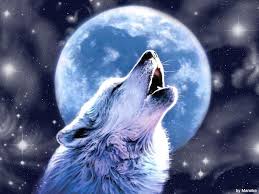 Anime wolves wolf cool deviantart background aniu hdblackwallpaper pups male rp stay fight widescreen wide. Anime White Wolf Wallpapers Wallpaper Cave