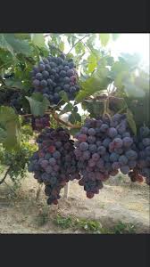 Pin By Tamer Ezel On Uzum In 2020 My Pinterest Pinterest Like