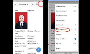 Cv merupakan bagian penting untuk. Cara Membuat Cv Online Dengan Gratis Nada 313