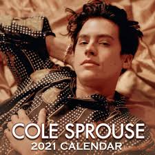This guy sure knows how to ignite your fantasy. Cole Sprouse 2021 Calendar 8 5x8 5 The Perfect Monthly Calendar For Easy Planning Amazon Co Uk Fans Cole Sprouse 9798584847883 Books