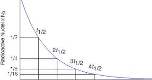 Half Life Physics About Half Life Physics Life