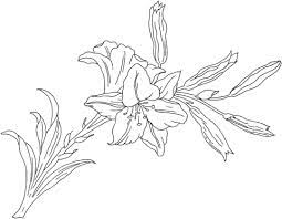 lilium or lily flower coloring pages free ours en peluche avec la lettre m coloriages