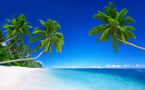 Hal ini penting bagi pengusaha atau bagi anda yang baru akan mendirikan usaha. Spiaggia Wallpaper Hd Sfondi Pemandangan Bawah Laut Bergerak 1280x800 Wallpapertip