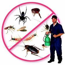 Homeadvisor's pest control cost guide gives average prices to hire a bug exterminator. Commercial Chemical Treatment Pestcontrol Sr And Sanitizetion Id 22459863912