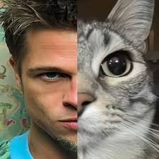 Chris Armbrust (@ChRiS_Armbrust)