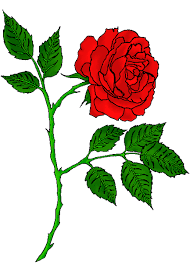 Are you looking for rose tattoo design images templates psd or png vectors files? Download Rose Tattoo Free Png Image Hq Png Image Freepngimg