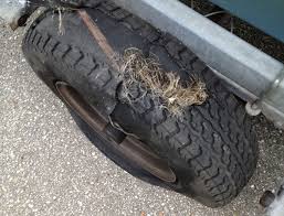 We did not find results for: Proper Boat Trailer Tire Pressure Boating Magazine