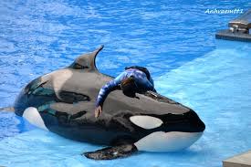 ANH VÀ EM : June 2015