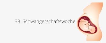 38 Ssw Schwangerschaftswoche Baby Gewicht Geburt In 38 Ssw