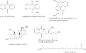 Image result for Ceratotheca integribracteata