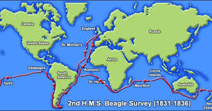 Charles Darwin S Beagle Diary Beagle Charles Darwin Darwin