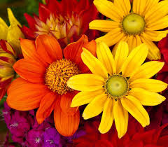 Wayne Lunsford Obituary