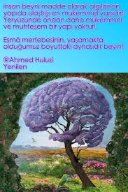 Tasavvuf Insan Beyni Muhtesem Esma Yenilen Ahmed Hulusi Hayat Bilgi Kitap Okuma
