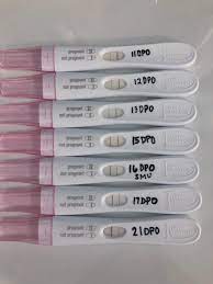 I Stalked Progressions On Here Early On So Wanted To Share Mine As A Resource Too 11dpo 21dpo Didn T Test 18 19 20 In Hopes Of Getting A Dye Stealer And The Wait Didn T Disappoint