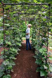 Vertical Vegetable Garden Ideas Smart Money Simple Life In 2021 Vegetable Garden Design Garden Vines Backyard Vegetable Gardens