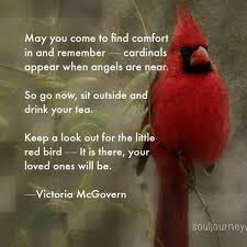 As you can imagine, this means that the death of a pet brings about deep grief. Cardinal Grieving Quotes Grief Quotes Cardinal Birds Meaning