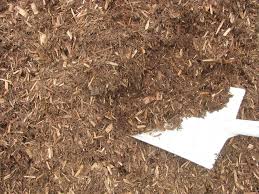 Because of this, immature trees are used in most cypress mulch, and they don't have the same properties as mature trees (namely, they are less effective at pest control and rot faster). Cypress Blend Nudgee Road Landscape Supplies 92 00