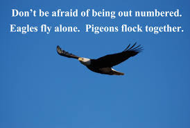 Birds Of A Feather Flock Together Meaning In Tamil Pin On Quotes