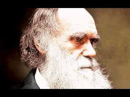 VIDEO: Hello Darwin My Old Friend