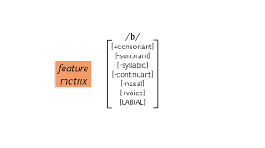 4 3 phonetic segments and features essentials of linguistics