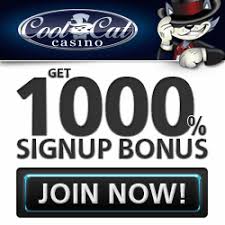 Getting started with coolcat casino is easy! Cool Cat Casino Bonus Codes 2021 Best Usa Online Casino Casino Casino Bonus Online Casino Bonus