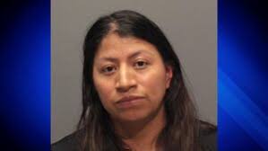 2 facing charges after police bust backyard volleyball gambling ring in  Milford