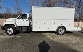 Image result for White 2002 Topkick