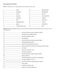207 chemistry worksheet templates are collected for any of your needs. Macromolecules Ws2