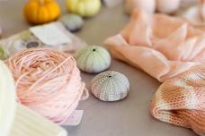 Create Natural Dye from Sea Urchins with Seelie Studio