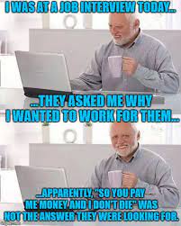Job Hunting Memes Gifs Imgflip