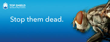 Their customer service is outstanding. Top Shield Termite Pest Control Posts Facebook