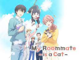 My Roommate is a Cat - Uncut : Prime Video - Amazon.com