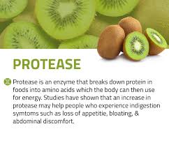 Huge selection at great low prices. Digestive Enzymes Farmhaven