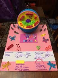We did not find results for: 8 Animal Cell Project Ideas Animal Cell Project Cells Project Animal Cell
