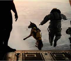 You or your spouse must book your pets as checked baggage at least 48 hours before arrival. Military Discounts Pet Air Carrier Llc