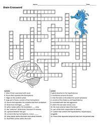 This crossword clue was last seen on march 5 2021 in the popular la times crossword puzzle. Brain Anatomy Crossword