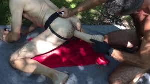 Free Vintage Fisting Gay 720p HD Porn Videos | xHamster