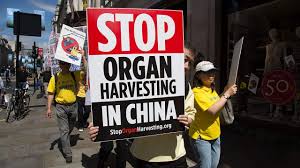 New Book on China’s Organ‑Harvesting Crimes Seen as Catalyst for Americans to Reject Communism, Rights Advocates Say