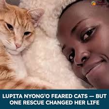 Lupita Nyong'o admitted she was once “terrified” of cats—so much that she  begged filmmakers to swap them out for another animal in A Quiet Place: Day  One. To overcome it, she underwent “
