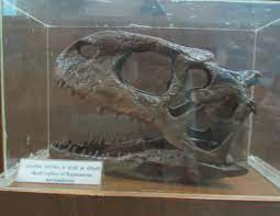 Rajasaurus - Wikipedia