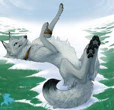 Lobo The Wolf By Shadowwolf Anime Wolf Drawing Wolf Art Fantasy Cute Wolf Drawings