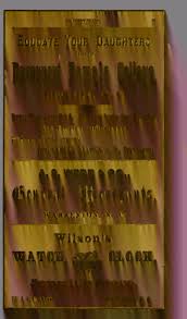 Branson's North Carolina business directory ... [serial]