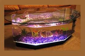 See more ideas about aquarium coffee table, aquarium, fish tank coffee table. Beautiful Coffee Table Aquariums