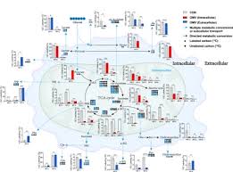 Image result for tbn:iAL9P1fP6VbKpM::loschicosdeclase.nireblog.com/blogs/loschicosdeclase/files/ecala.jpg