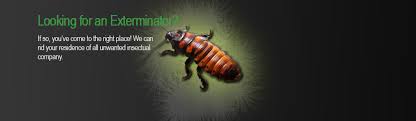 You can now use your alexa, bixby, or google home to call us! Atlanta Pest Control Services Atlanta Ants Roaches And Bee Removal Atlanta Pest Extermination