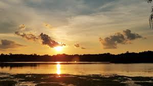 A rising tide lifts all boats. A Rising Tide Raises All Ships