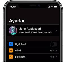 Iphone Ipad Ve Ipod Touch Inizda Ekran Ve Metin Puntosu Tercihlerini Kullanma Apple Destek