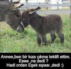 Hahaha Komik Komik Deyisler Komik Seyler