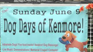 Jack eichel jack eichel jack eichel jack eichel jack eichel jack eichel jack eichel jack eichel jack eichel jack eichel jack eichel jack eichel jack. Dog Days Of Kenmore Features Dog Friendly Competitions Wgrz Com